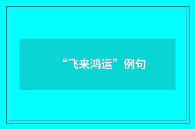 “飞来鸿运”例句