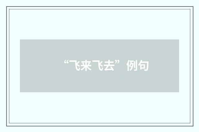 “飞来飞去”例句
