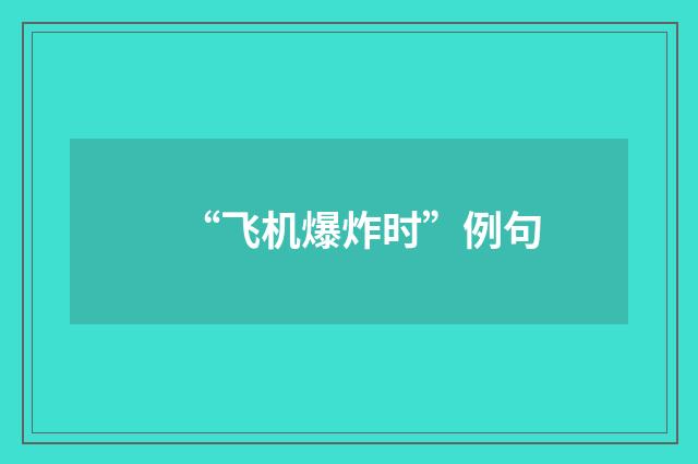 “飞机爆炸时”例句