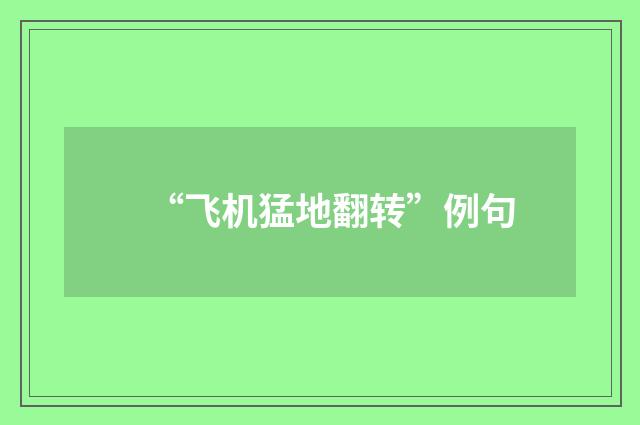 “飞机猛地翻转”例句