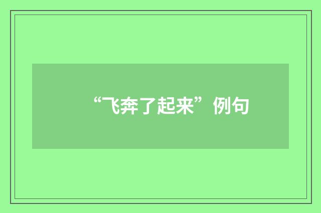 “飞奔了起来”例句