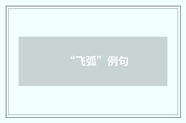 “飞弧”例句