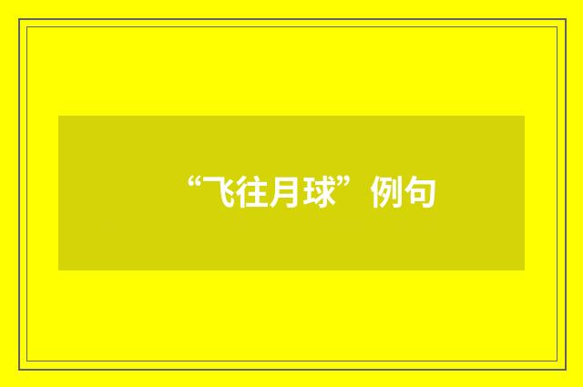 “飞往月球”例句