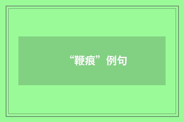 “鞭痕”例句
