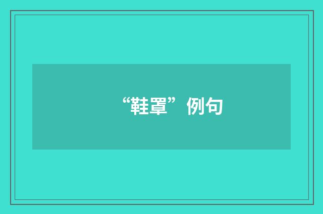 “鞋罩”例句
