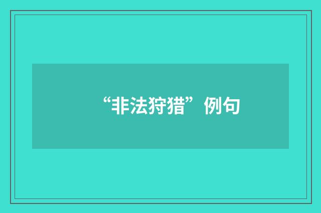 “非法狩猎”例句