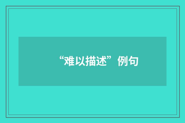 “难以描述”例句