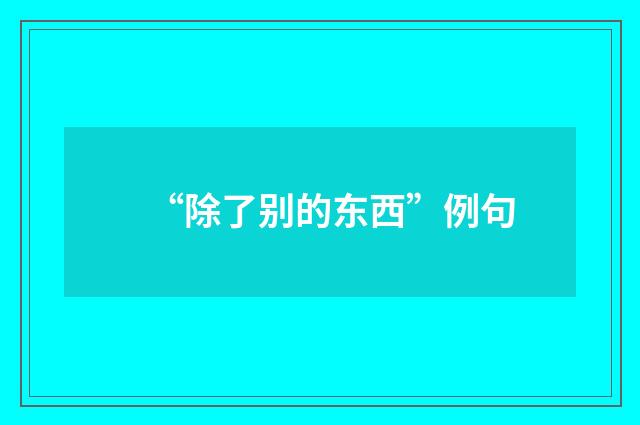 “除了别的东西”例句