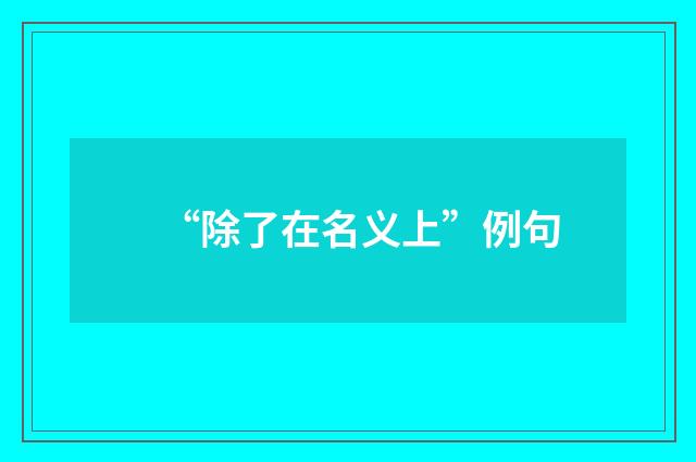 “除了在名义上”例句