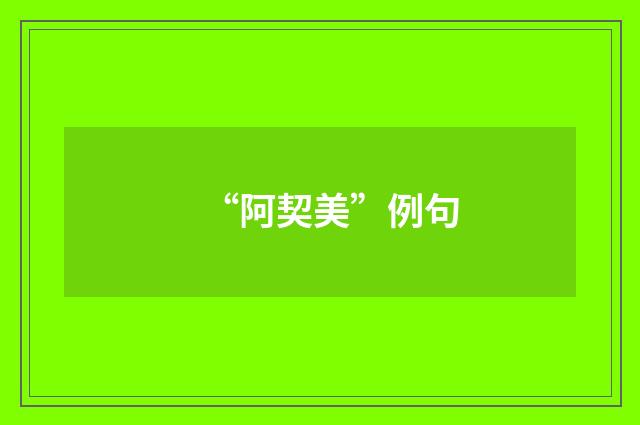 “阿契美”例句