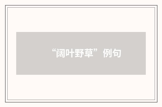 “阔叶野草”例句