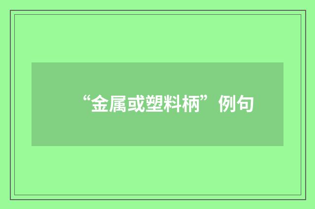 “金属或塑料柄”例句
