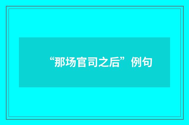 “那场官司之后”例句
