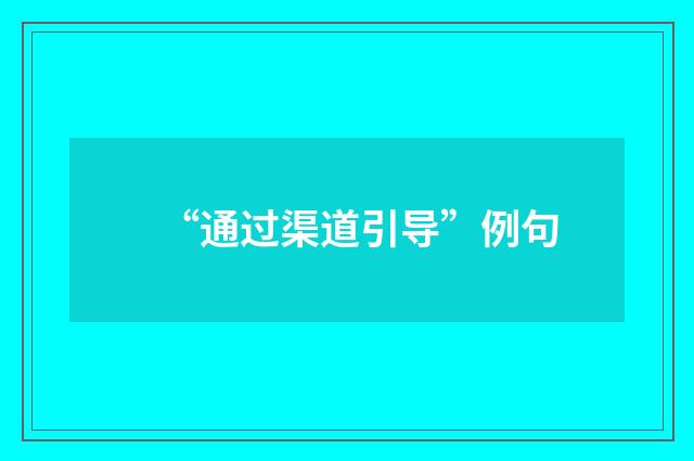 “通过渠道引导”例句
