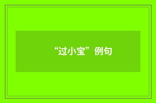 “过小宝”例句