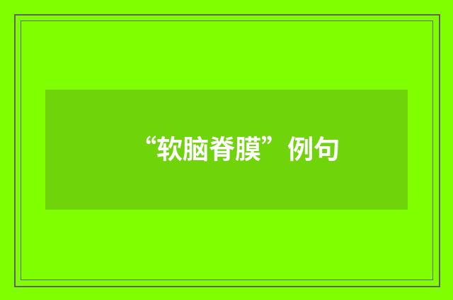 “软脑脊膜”例句