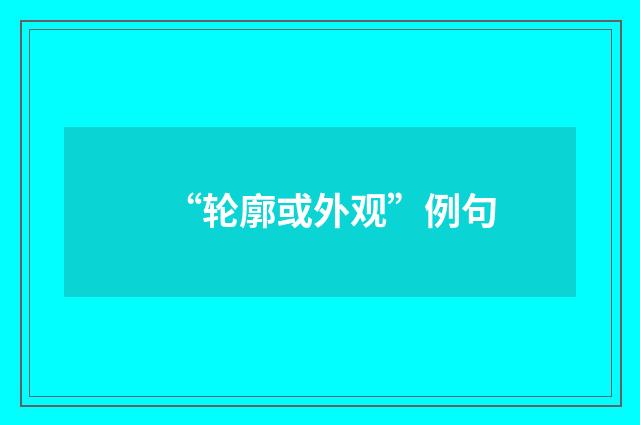 “轮廓或外观”例句