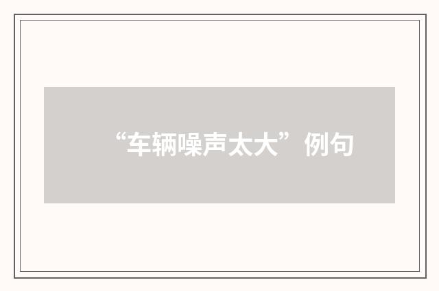 “车辆噪声太大”例句