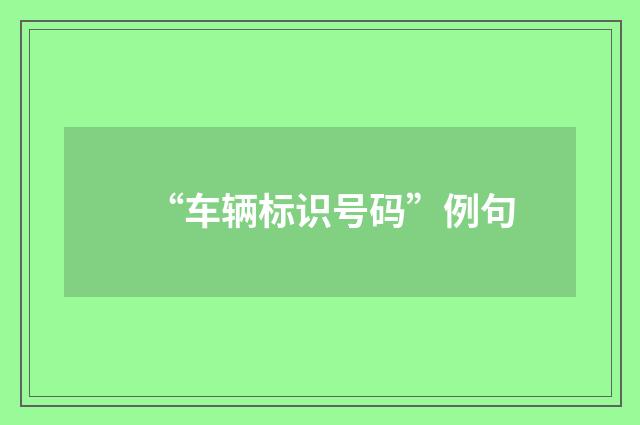 “车辆标识号码”例句