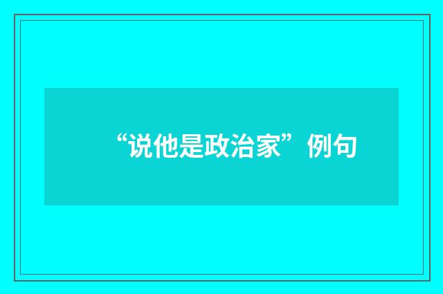 “说他是政治家”例句