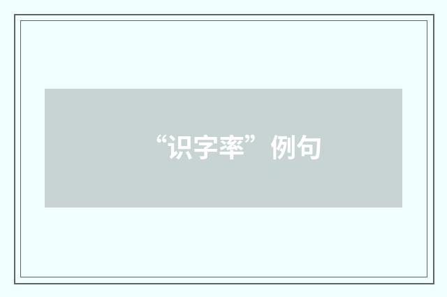 “识字率”例句