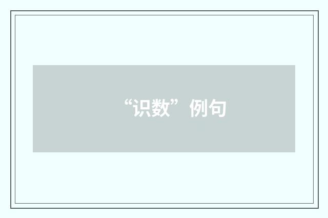 “识数”例句