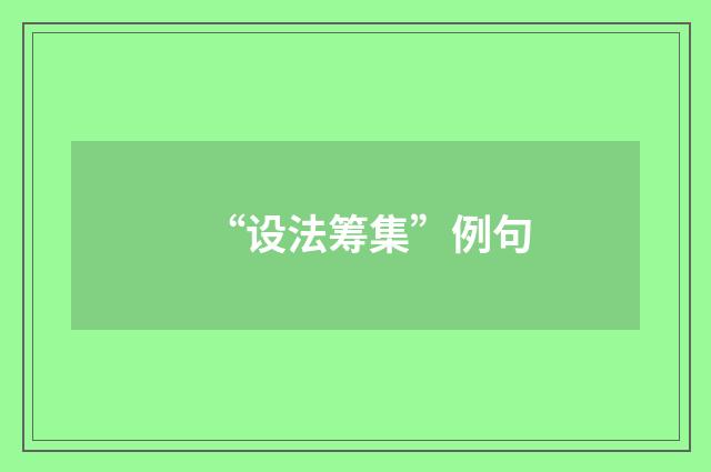 “设法筹集”例句