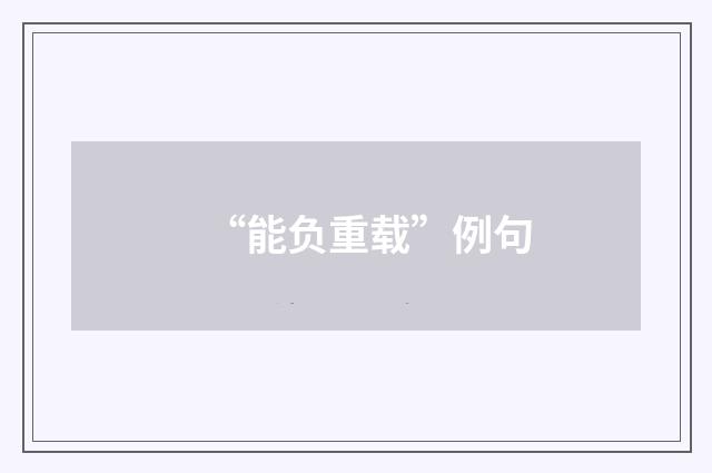 “能负重载”例句
