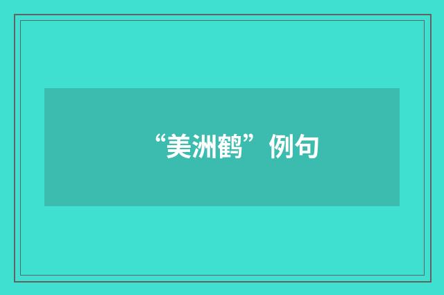 “美洲鹤”例句