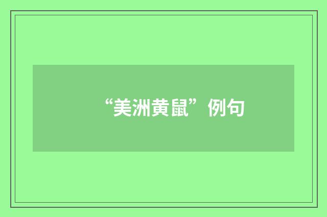 “美洲黄鼠”例句