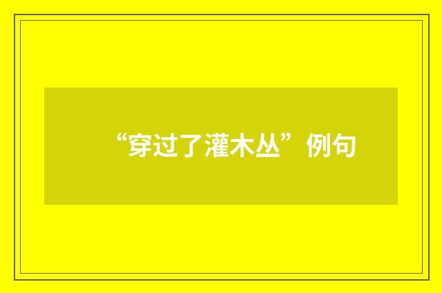 “穿过了灌木丛”例句