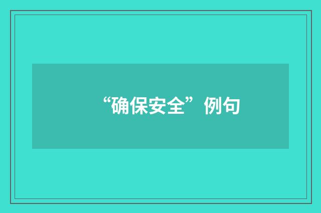 “确保安全”例句