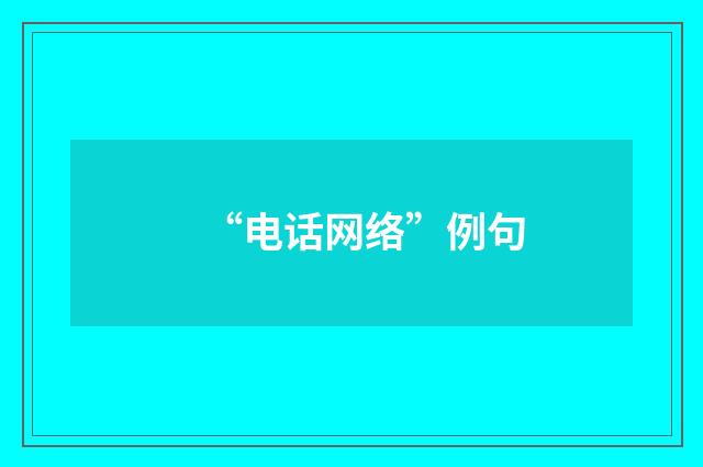 “电话网络”例句
