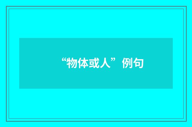 “物体或人”例句