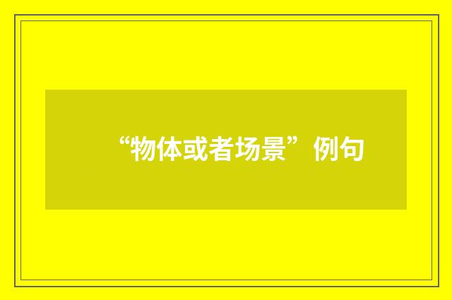 “物体或者场景”例句