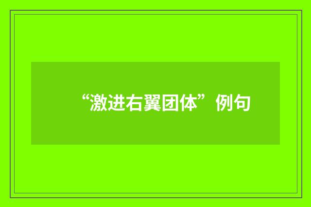 “激进右翼团体”例句