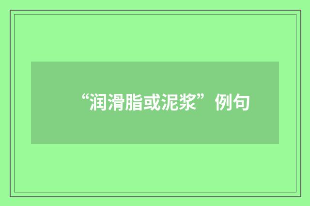 “润滑脂或泥浆”例句