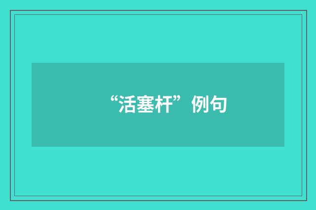 “活塞杆”例句