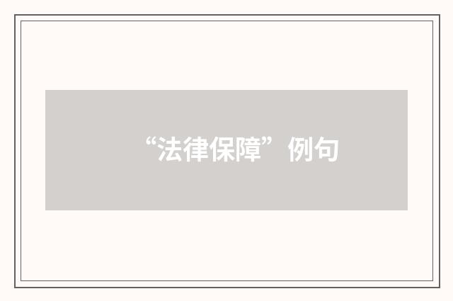 “法律保障”例句