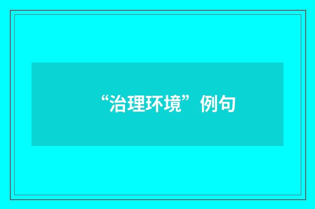 “治理环境”例句