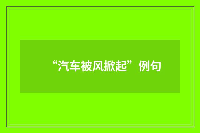 “汽车被风掀起”例句