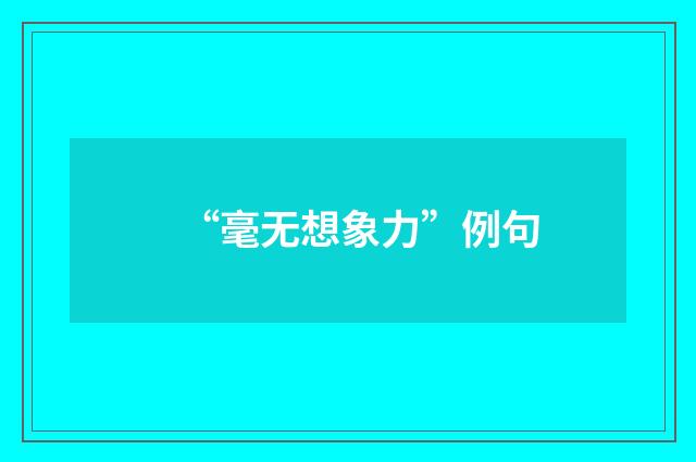 “毫无想象力”例句
