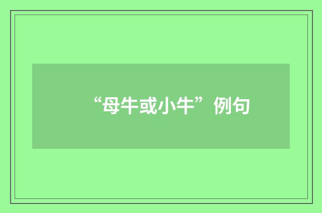 “母牛或小牛”例句