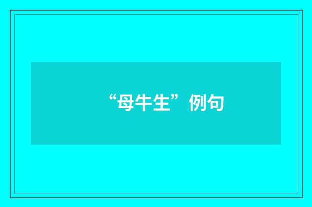 “母牛生”例句