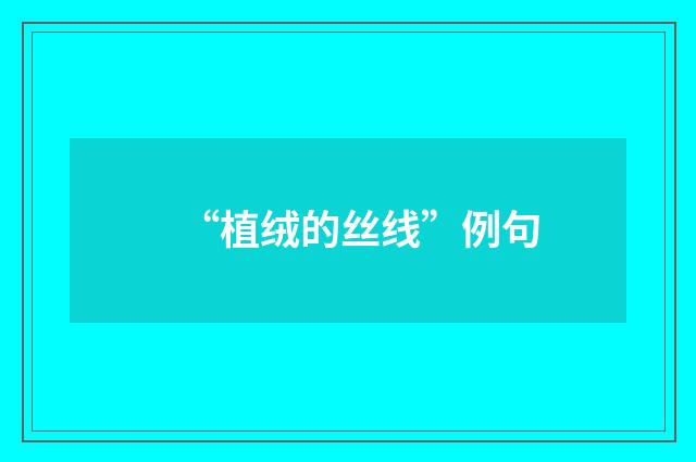 “植绒的丝线”例句