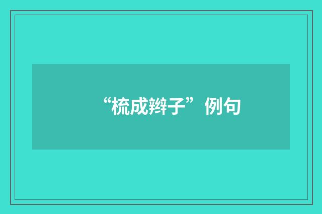“梳成辫子”例句