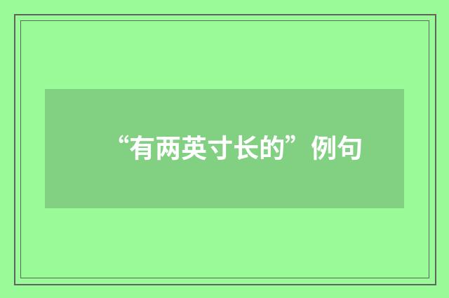 “有两英寸长的”例句