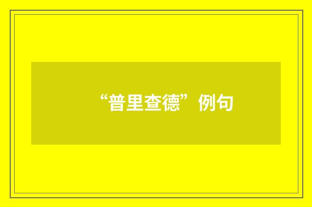 “普里查德”例句