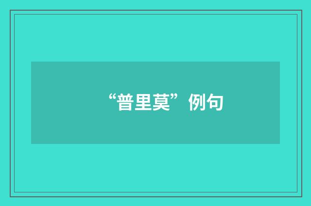 “普里莫”例句