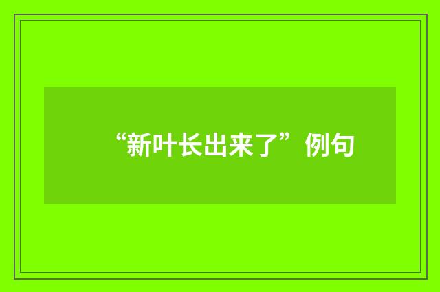 “新叶长出来了”例句